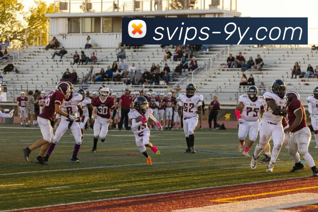 九游官网平台生态图