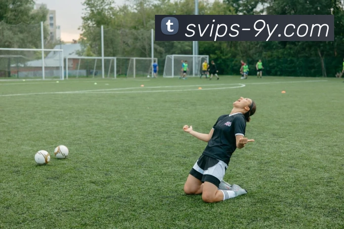 九游官网全站App