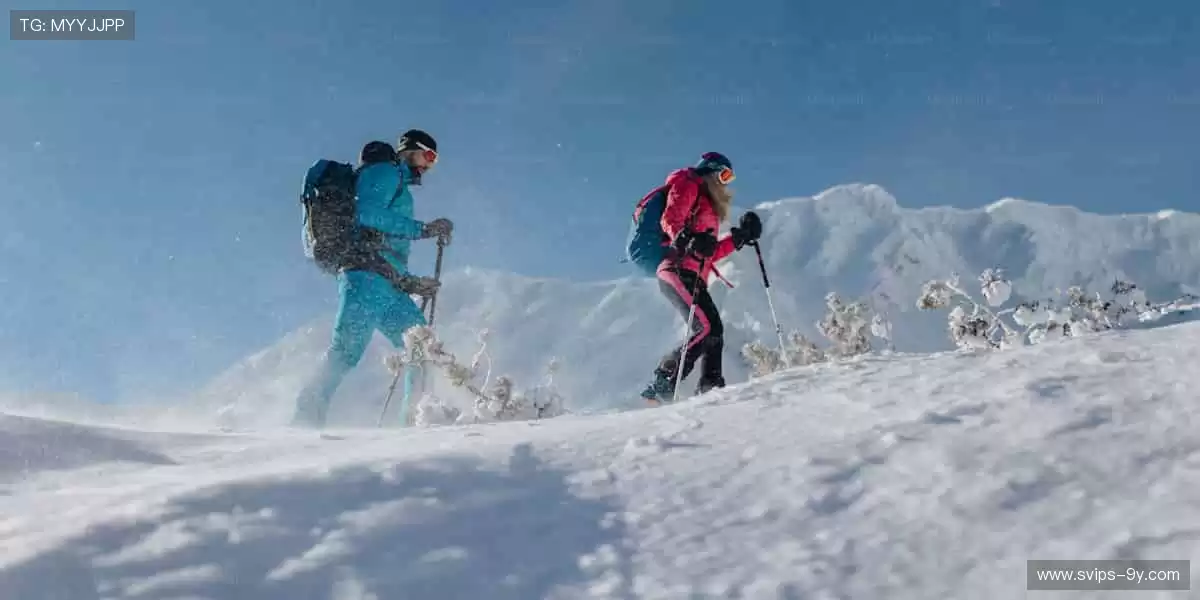 指尖掌控，赛事全收！📱